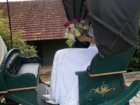 /album/galeria-de-fotos/imagem-087-jpg/